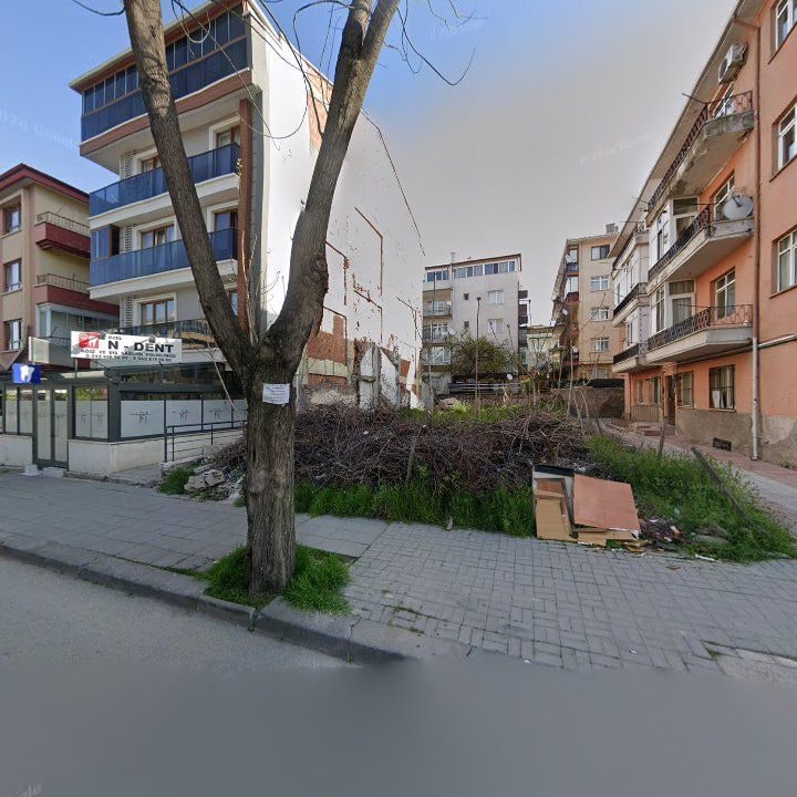 Fotoğraf 12