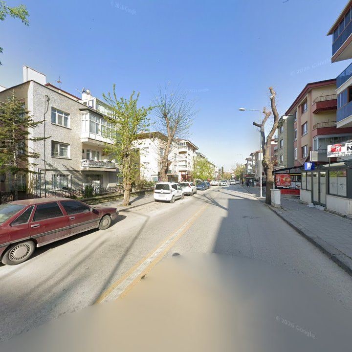 Fotoğraf 11