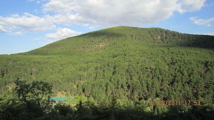 Fotoğraf 6