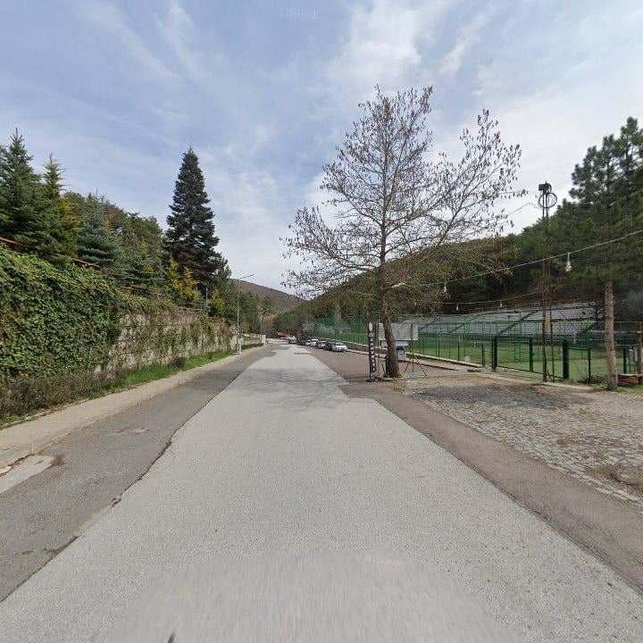 Fotoğraf 11