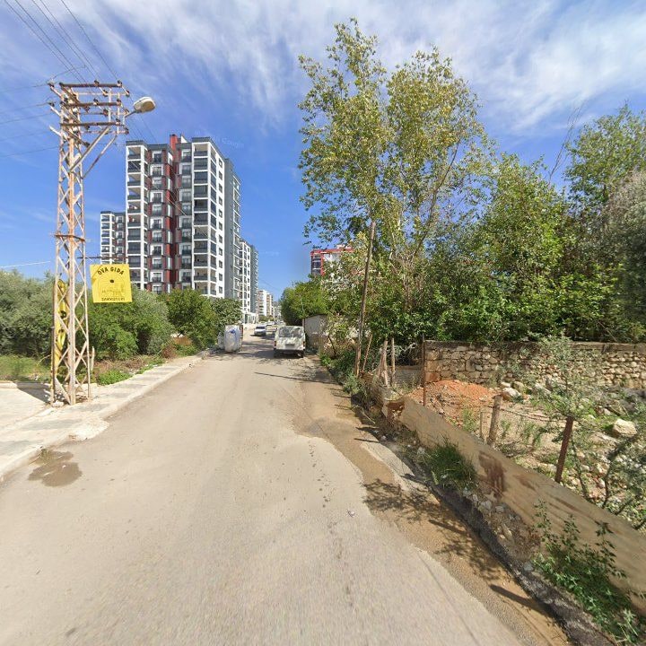 Fotoğraf 7