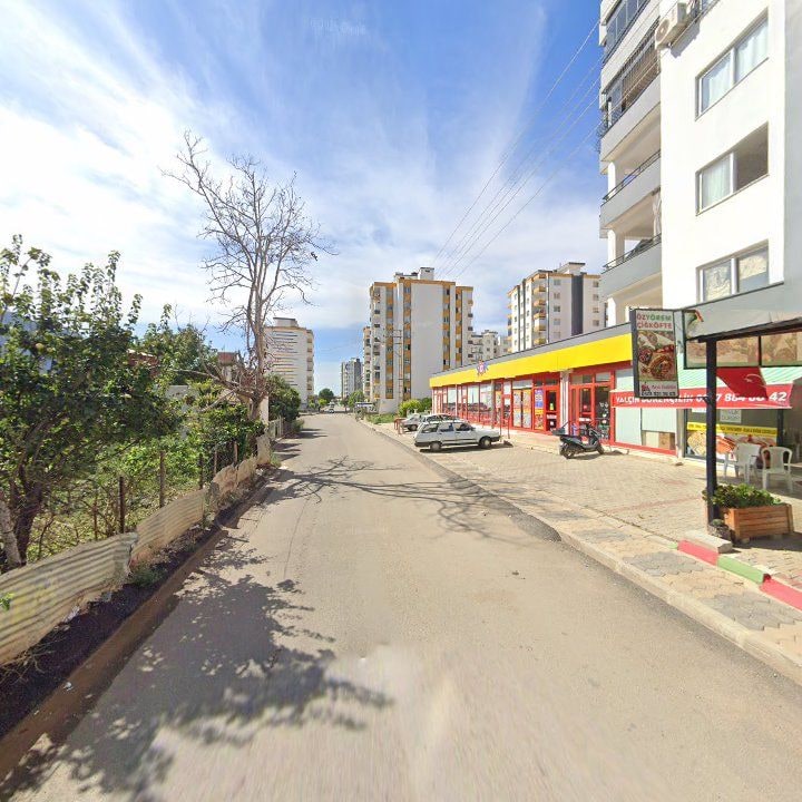 Fotoğraf 9