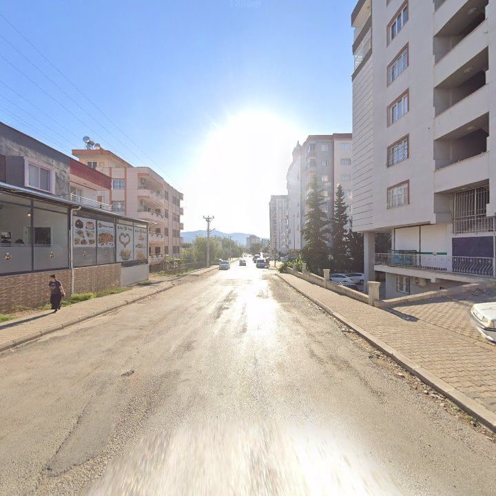 Fotoğraf 10