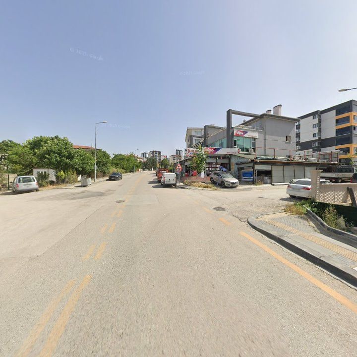 Fotoğraf 10