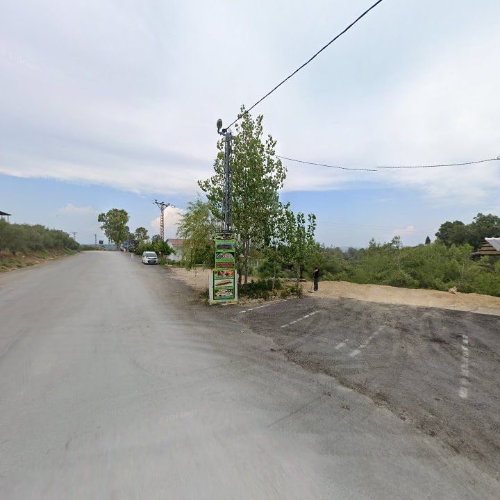 Fotoğraf 10