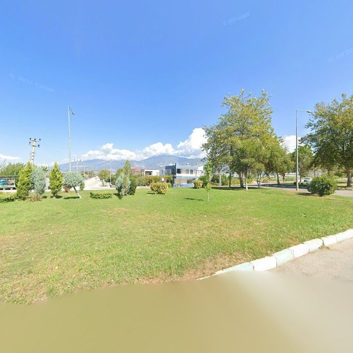 Fotoğraf 10
