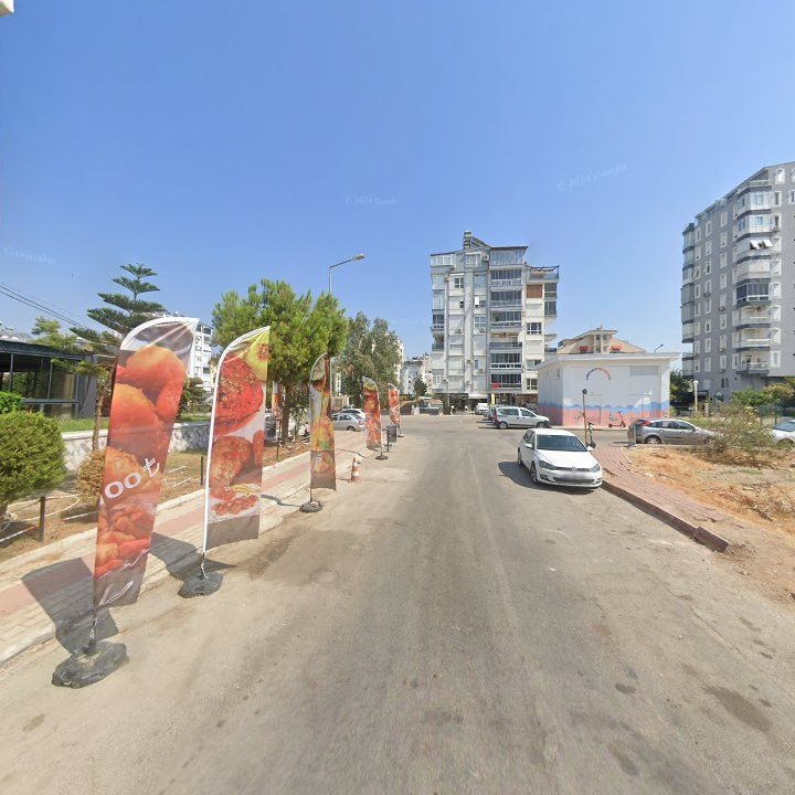 Fotoğraf 6