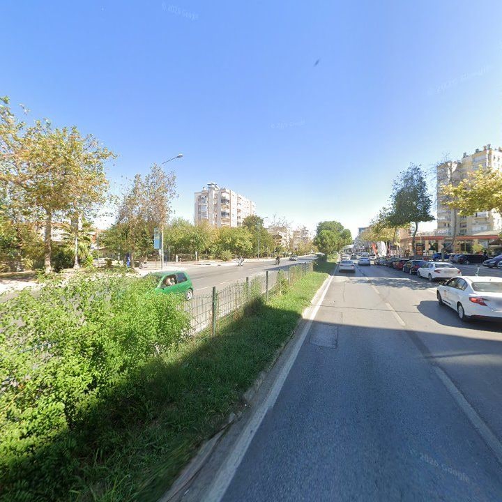 Fotoğraf 13