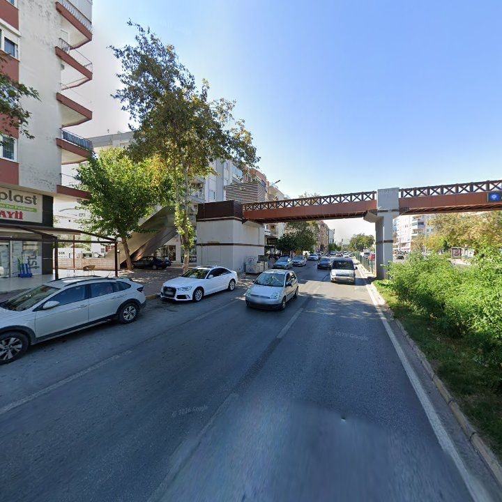 Fotoğraf 11