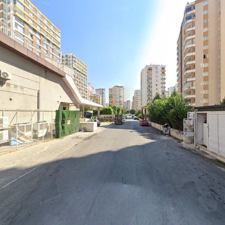 Fotoğraf 12