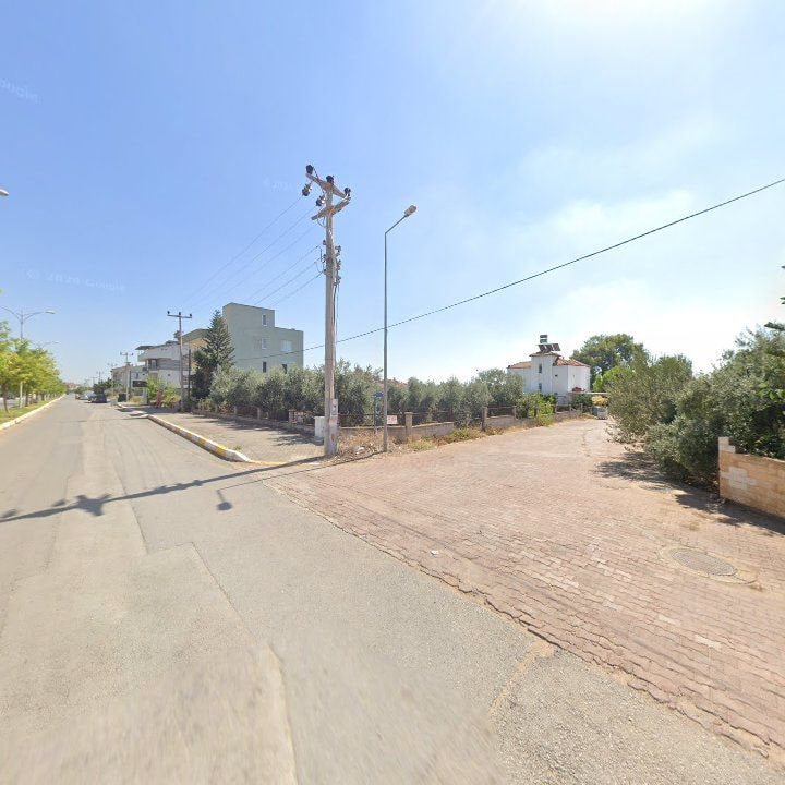 Fotoğraf 9