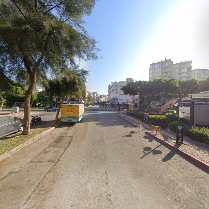Fotoğraf 11