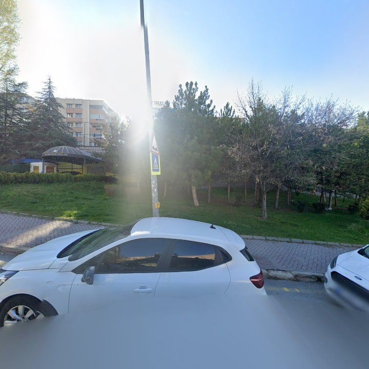 Fotoğraf 8