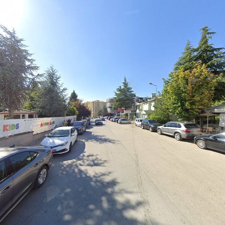 Fotoğraf 10