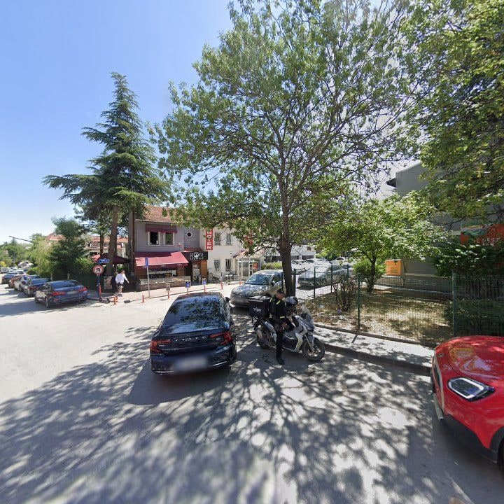 Fotoğraf 12