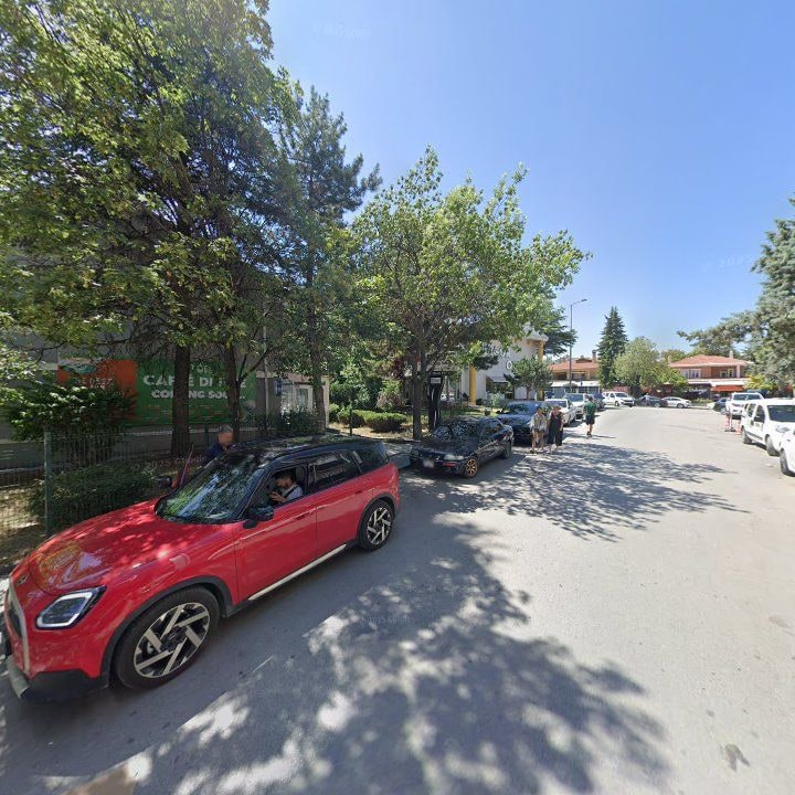 Fotoğraf 13