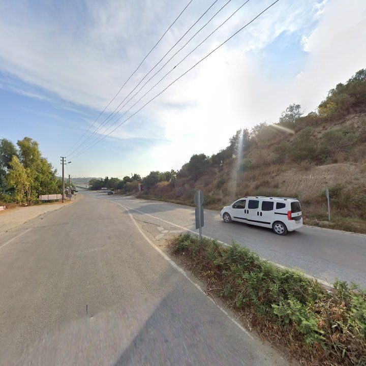 Fotoğraf 8