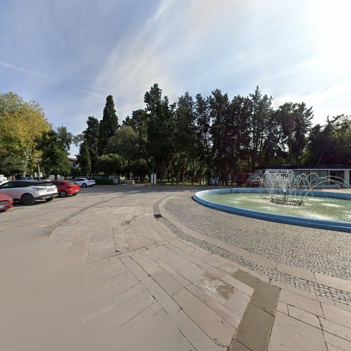 Fotoğraf 15