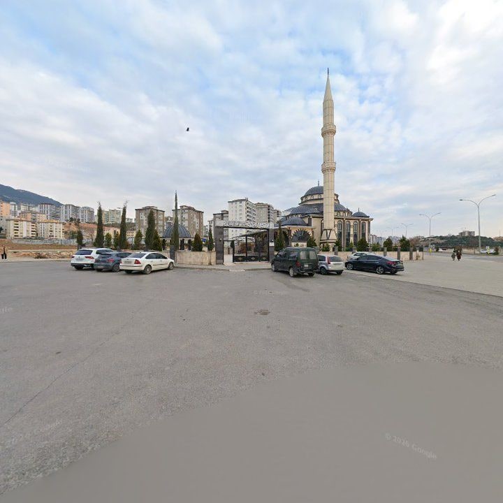 Fotoğraf 10