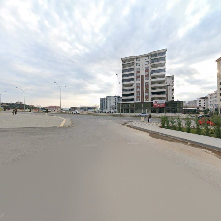 Fotoğraf 11