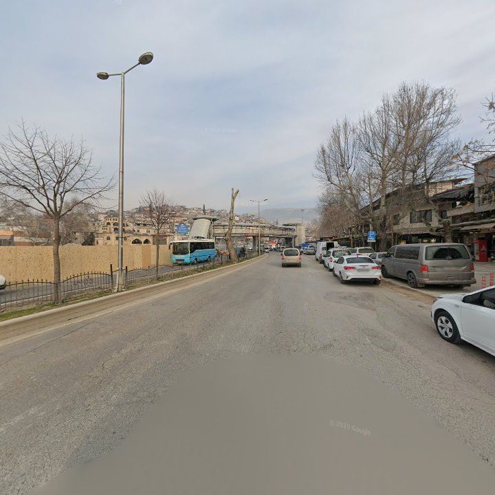 Fotoğraf 8
