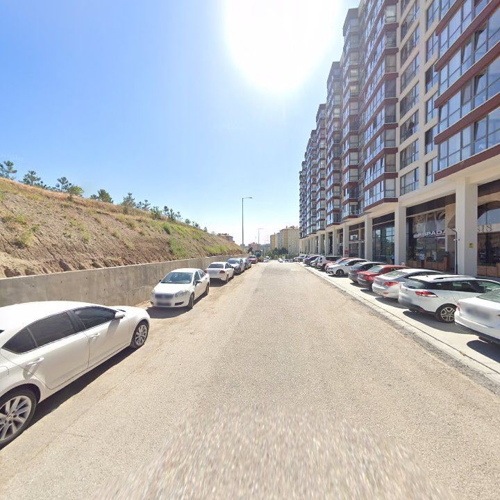 Fotoğraf 9