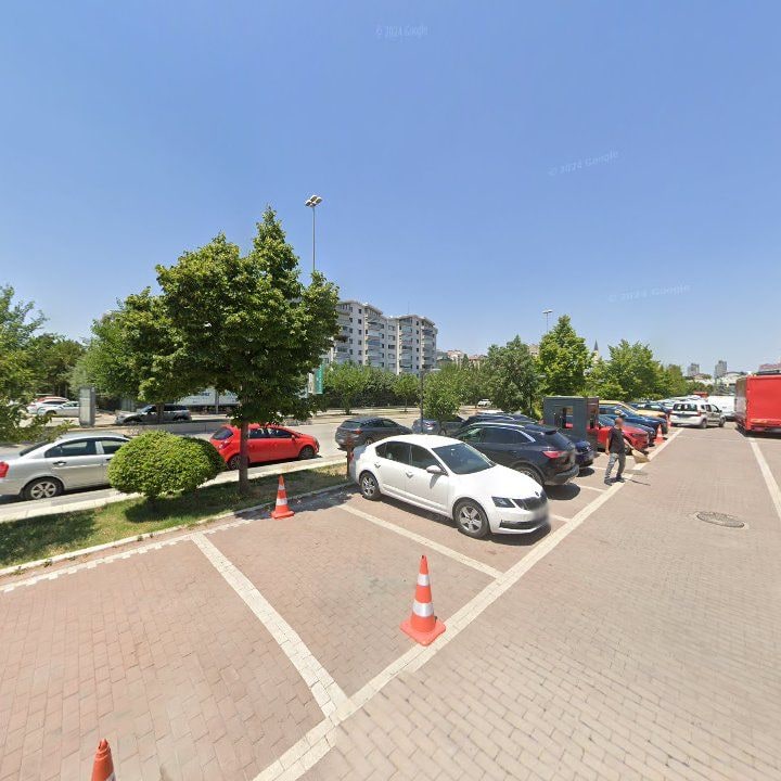 Fotoğraf 11