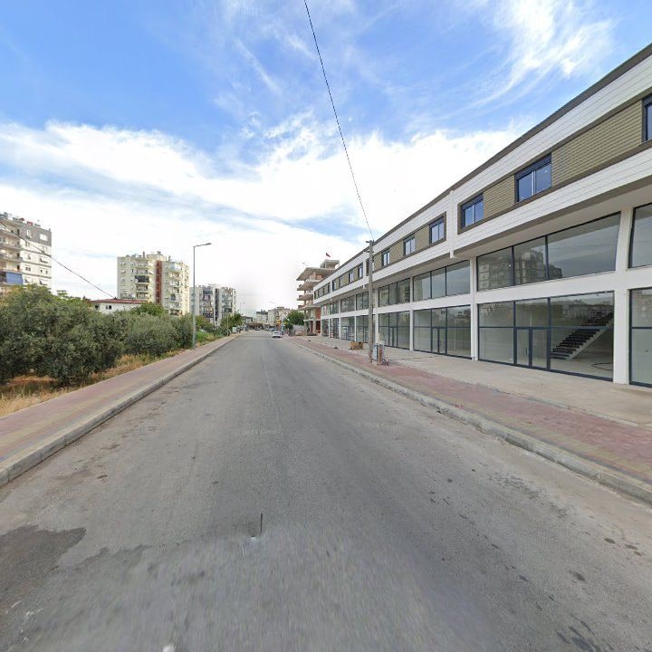Fotoğraf 8