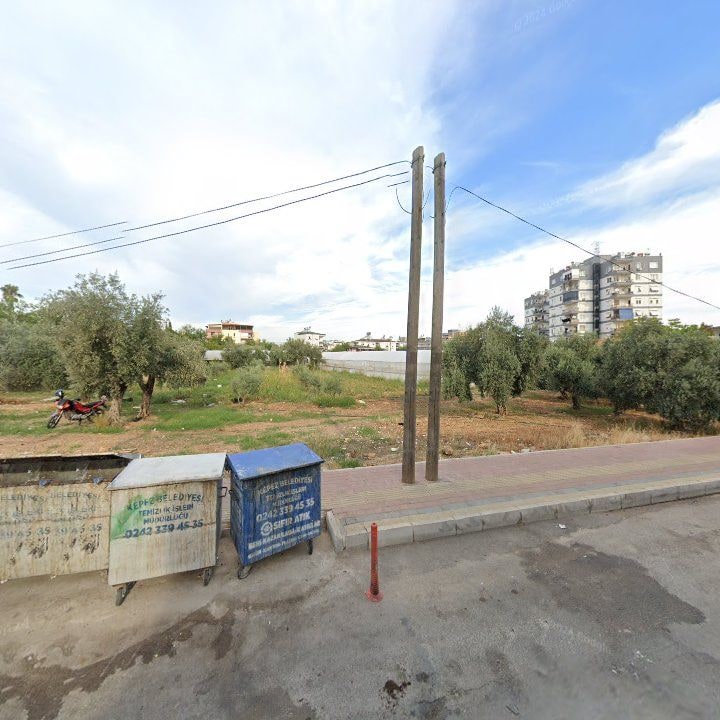 Fotoğraf 7
