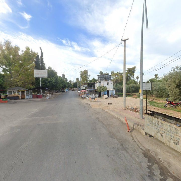 Fotoğraf 10
