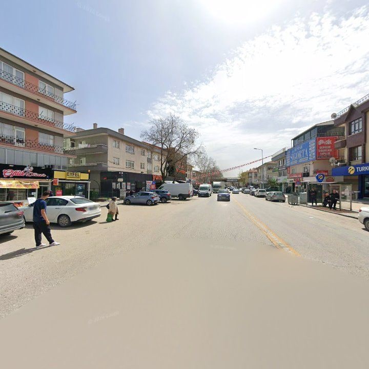 Fotoğraf 12