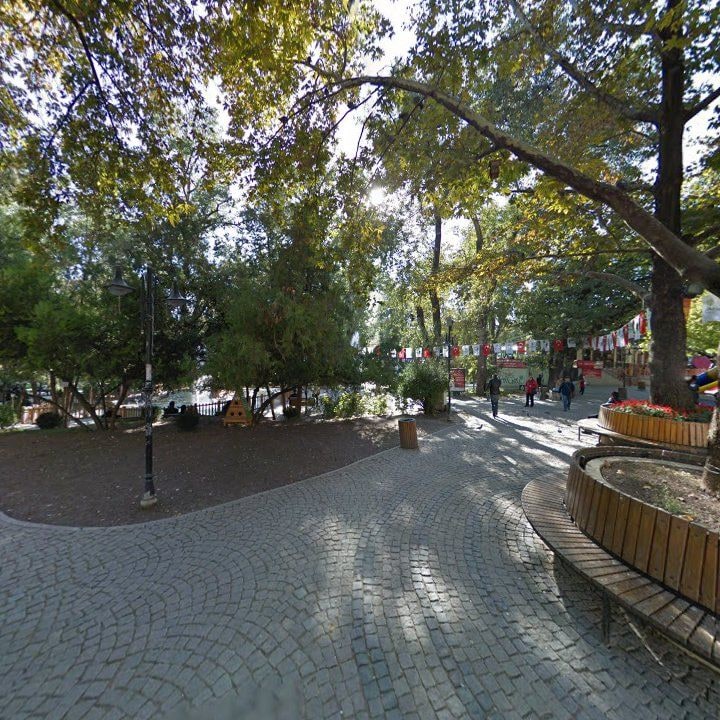 Fotoğraf 12