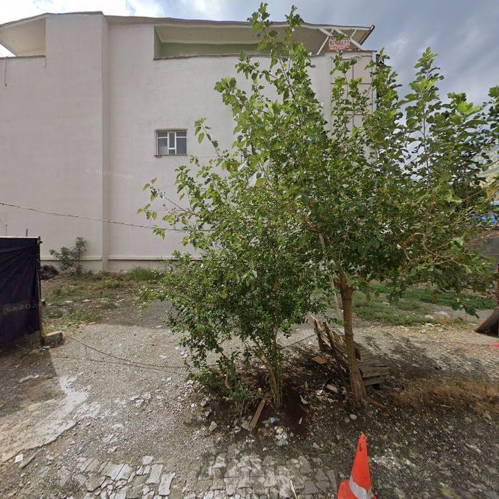 Fotoğraf 6