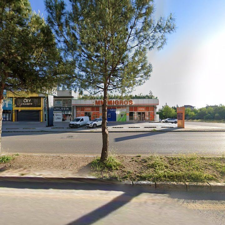 Fotoğraf 8