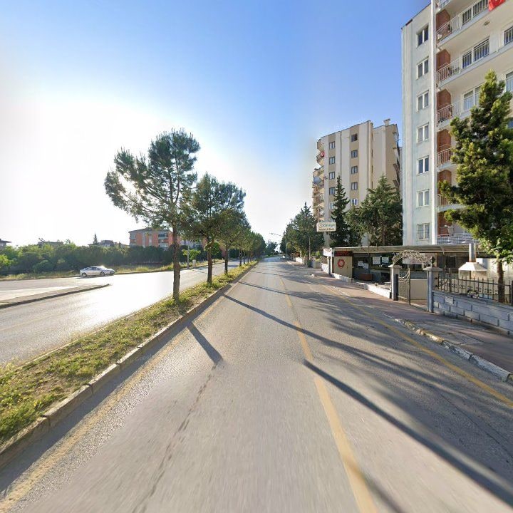 Fotoğraf 9