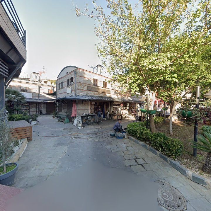 Fotoğraf 8