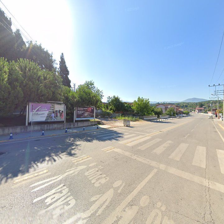 Fotoğraf 11