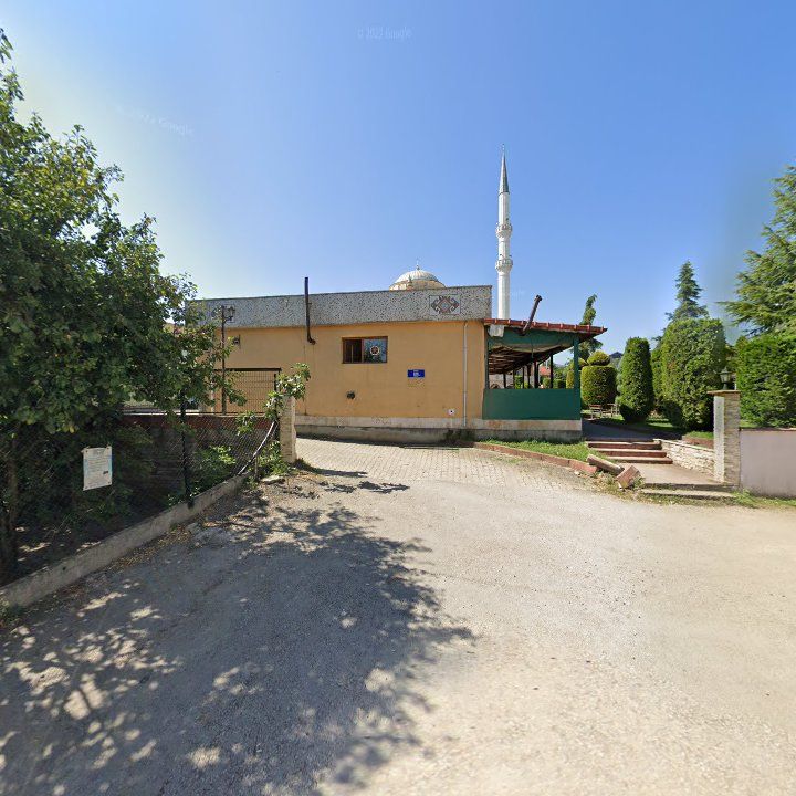 Fotoğraf 6