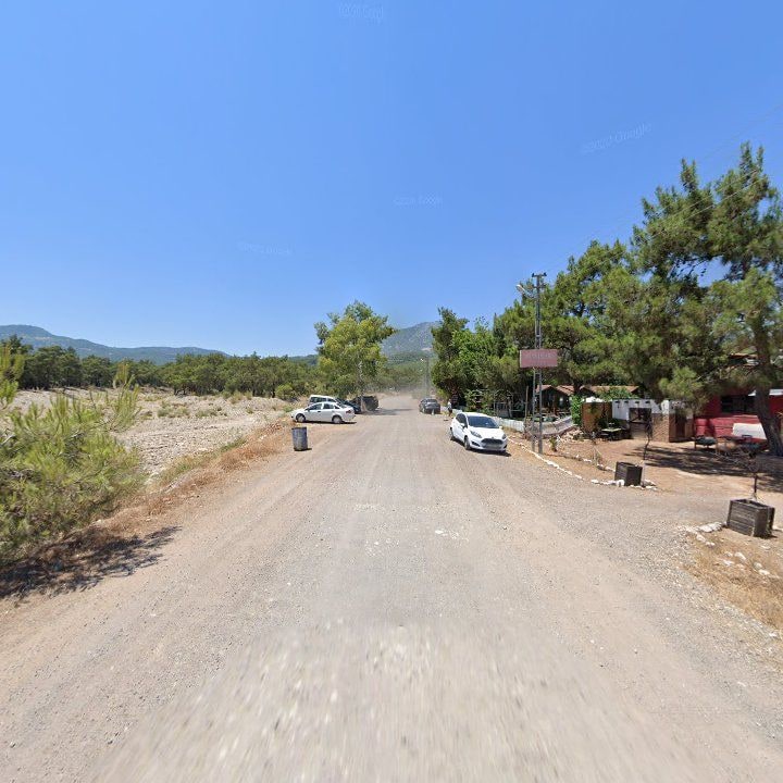 Fotoğraf 11