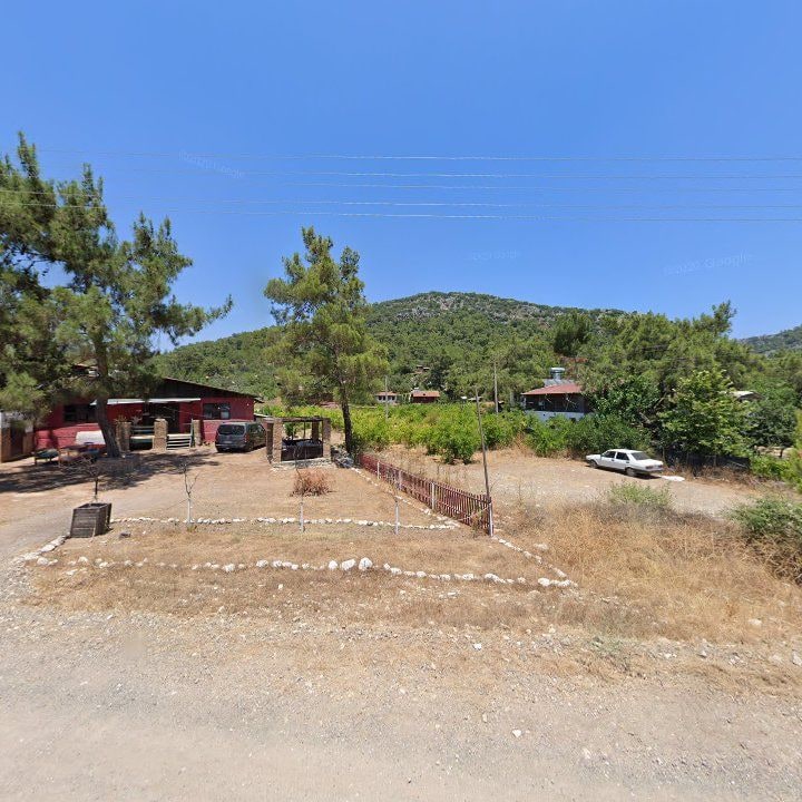 Fotoğraf 8
