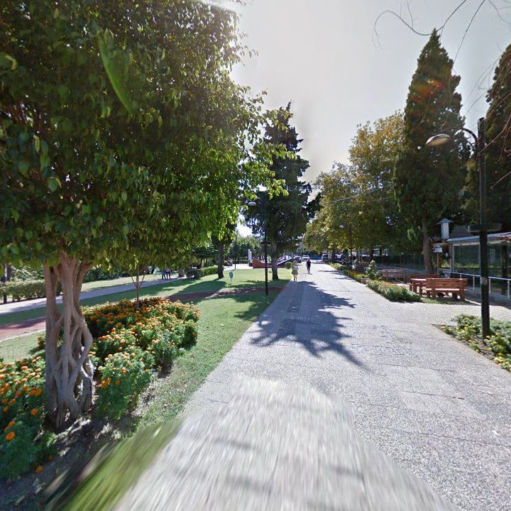 Fotoğraf 12