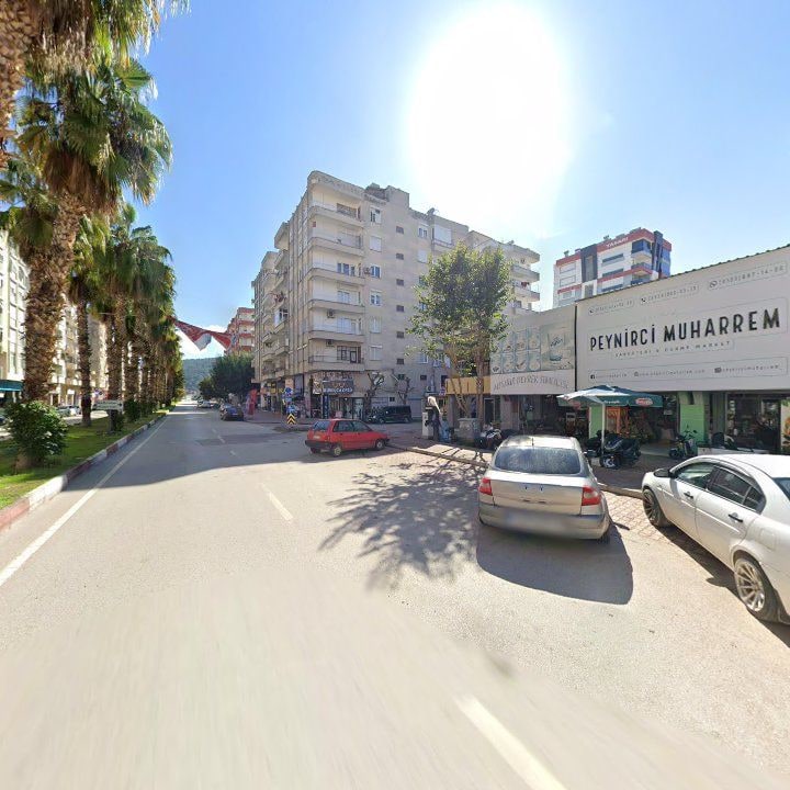 Fotoğraf 7
