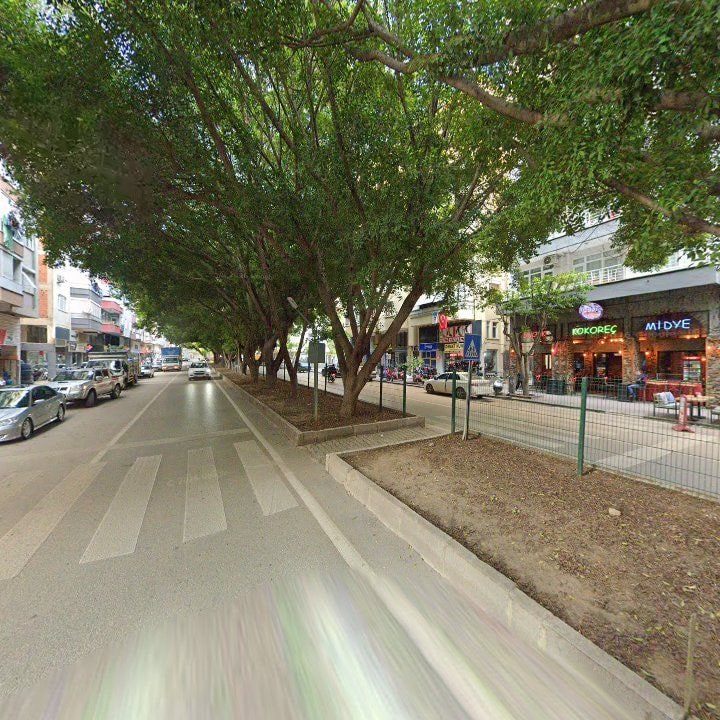 Fotoğraf 5