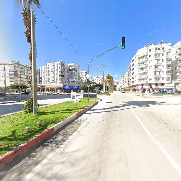 Fotoğraf 7