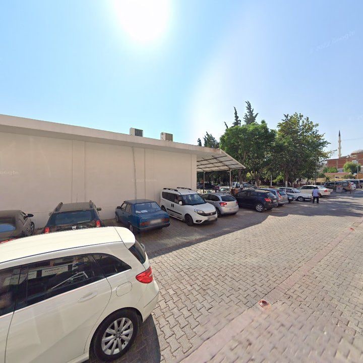 Fotoğraf 7