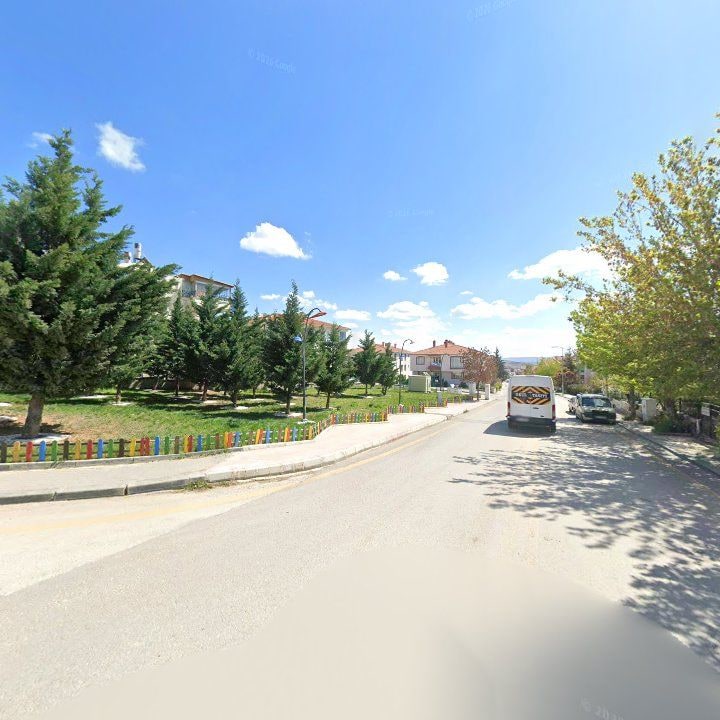Fotoğraf 12