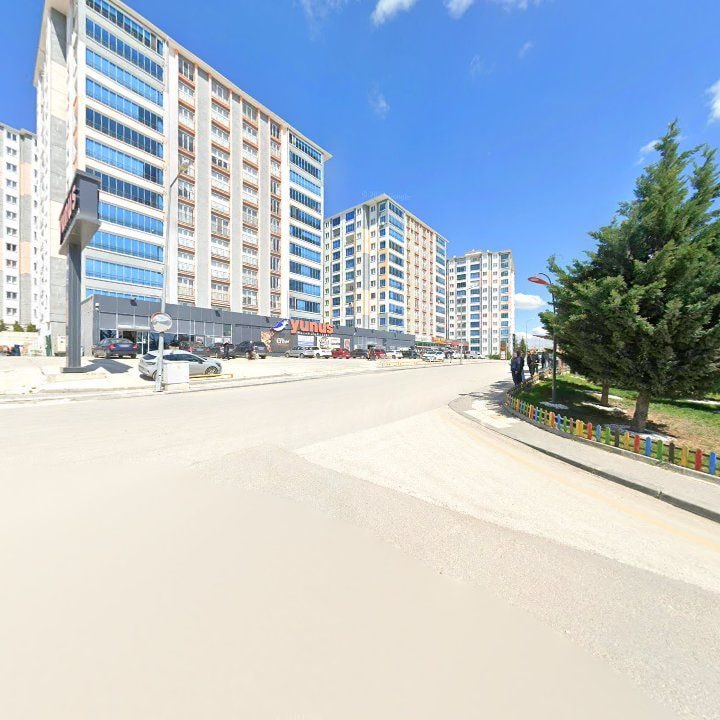Fotoğraf 11