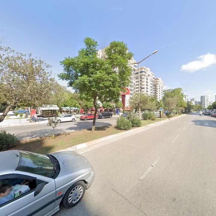 Fotoğraf 8