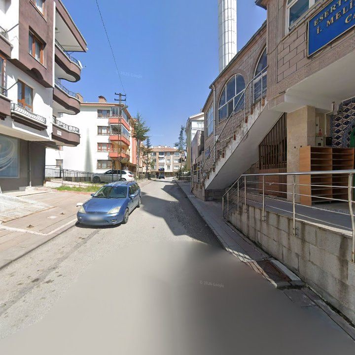 Fotoğraf 8