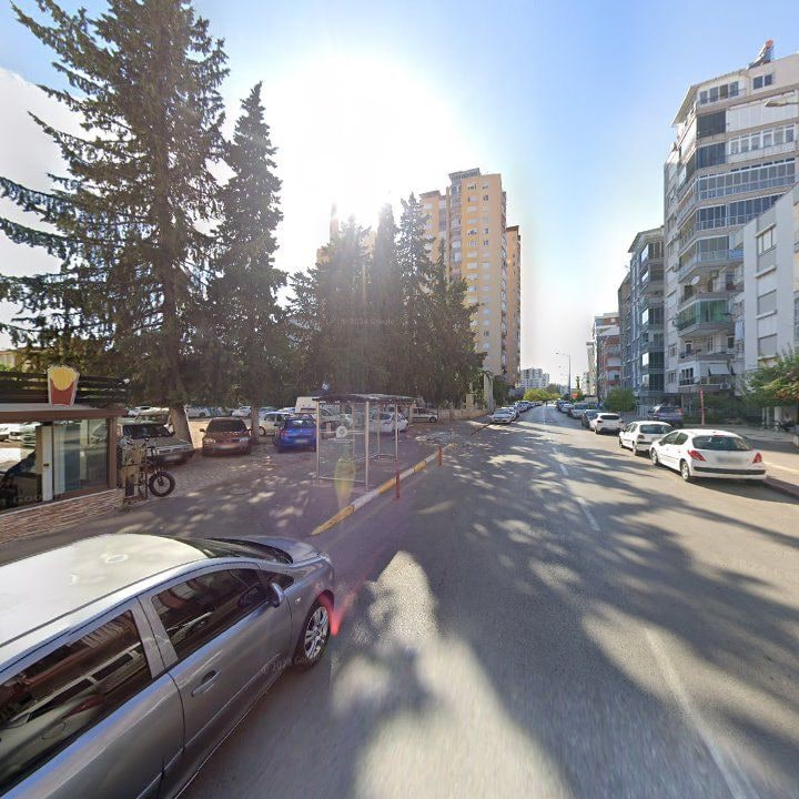 Fotoğraf 8